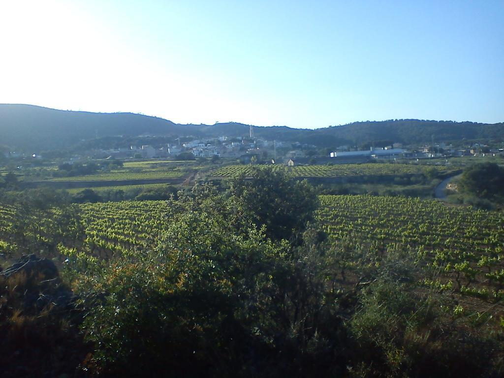 Cal Ganso Encantat Албинана Экстерьер фото
